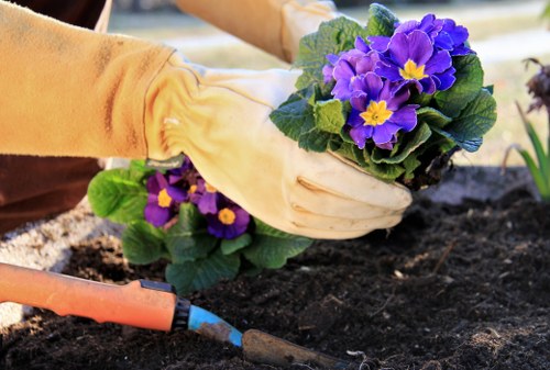 Storm-damaged tree with broken branches requiring removal in Mottingham