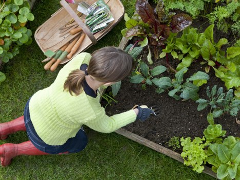 Professional arborist assessing tree health in a local garden